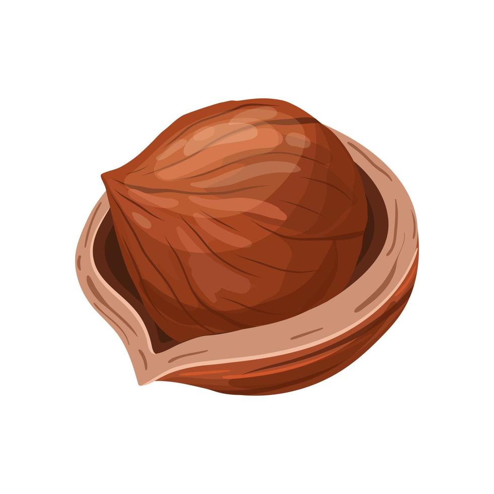 hazelnut brown nut cartoon vector illustration