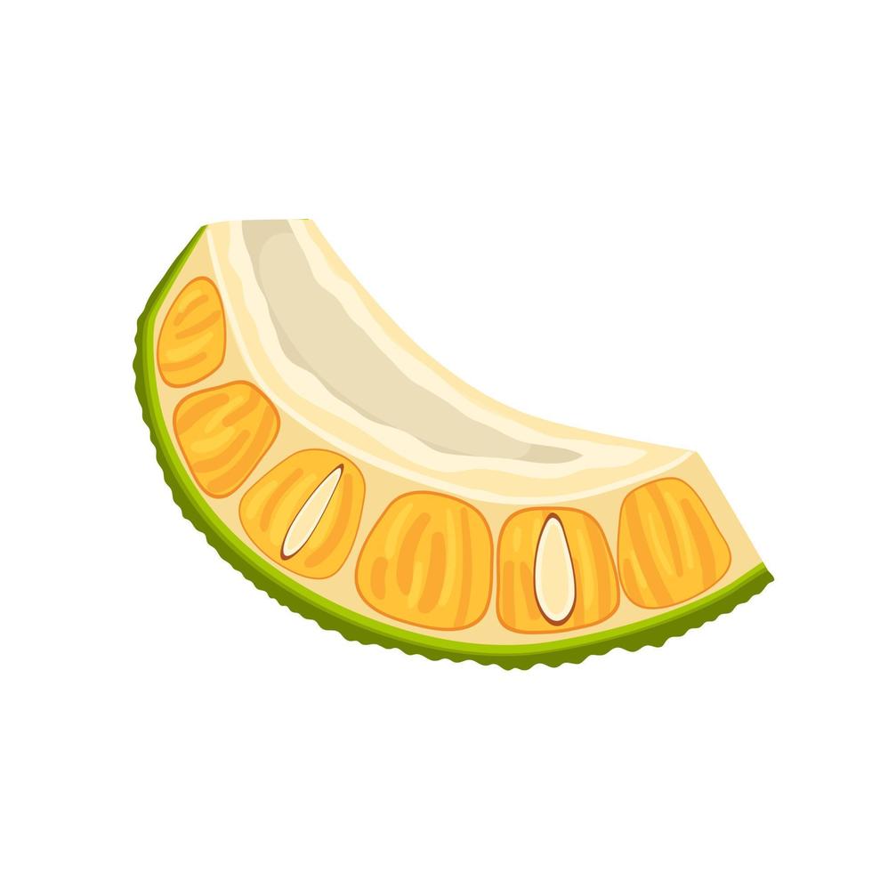 jackfruit slice cut cartoon vector illustration