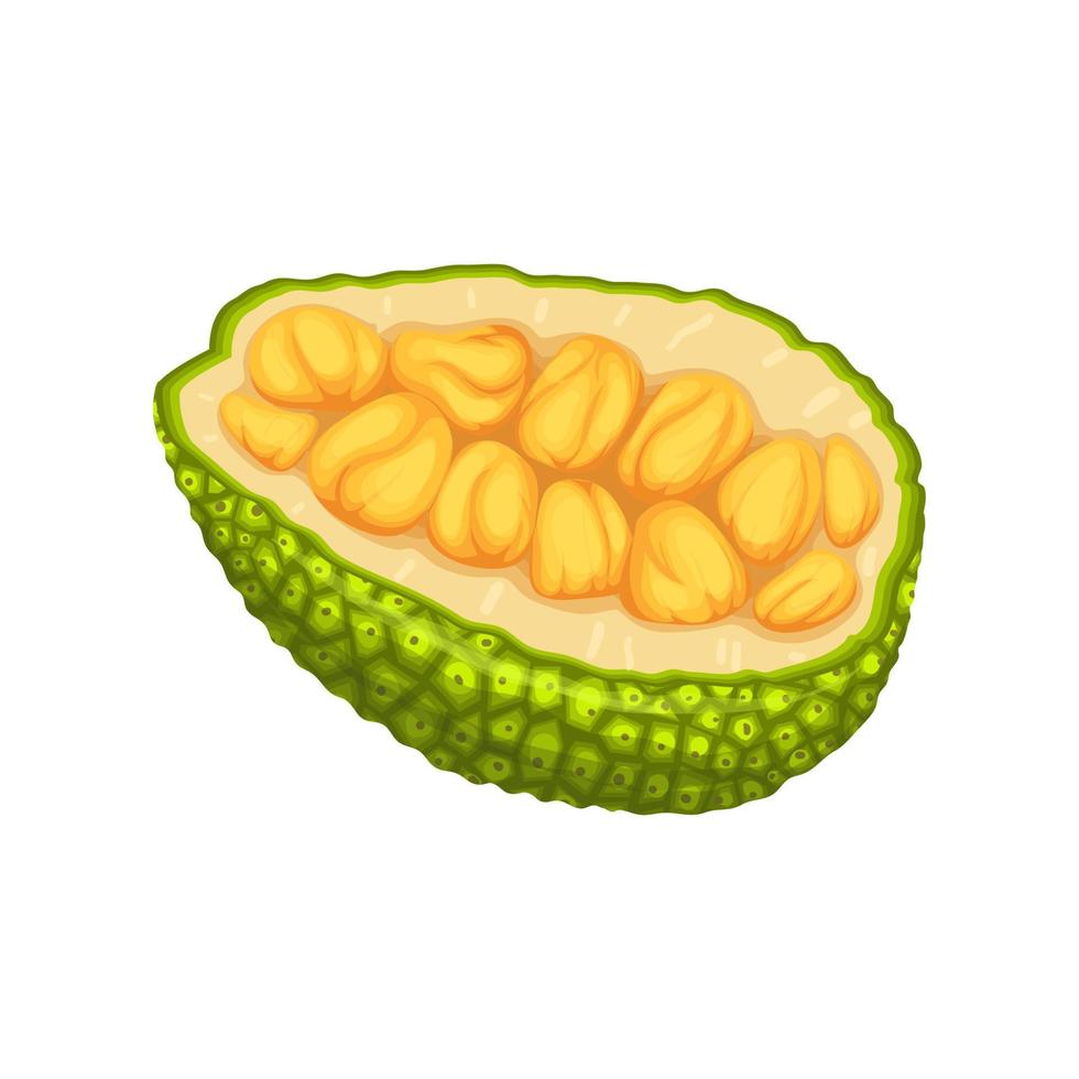 jackfruit slice cut cartoon vector illustration