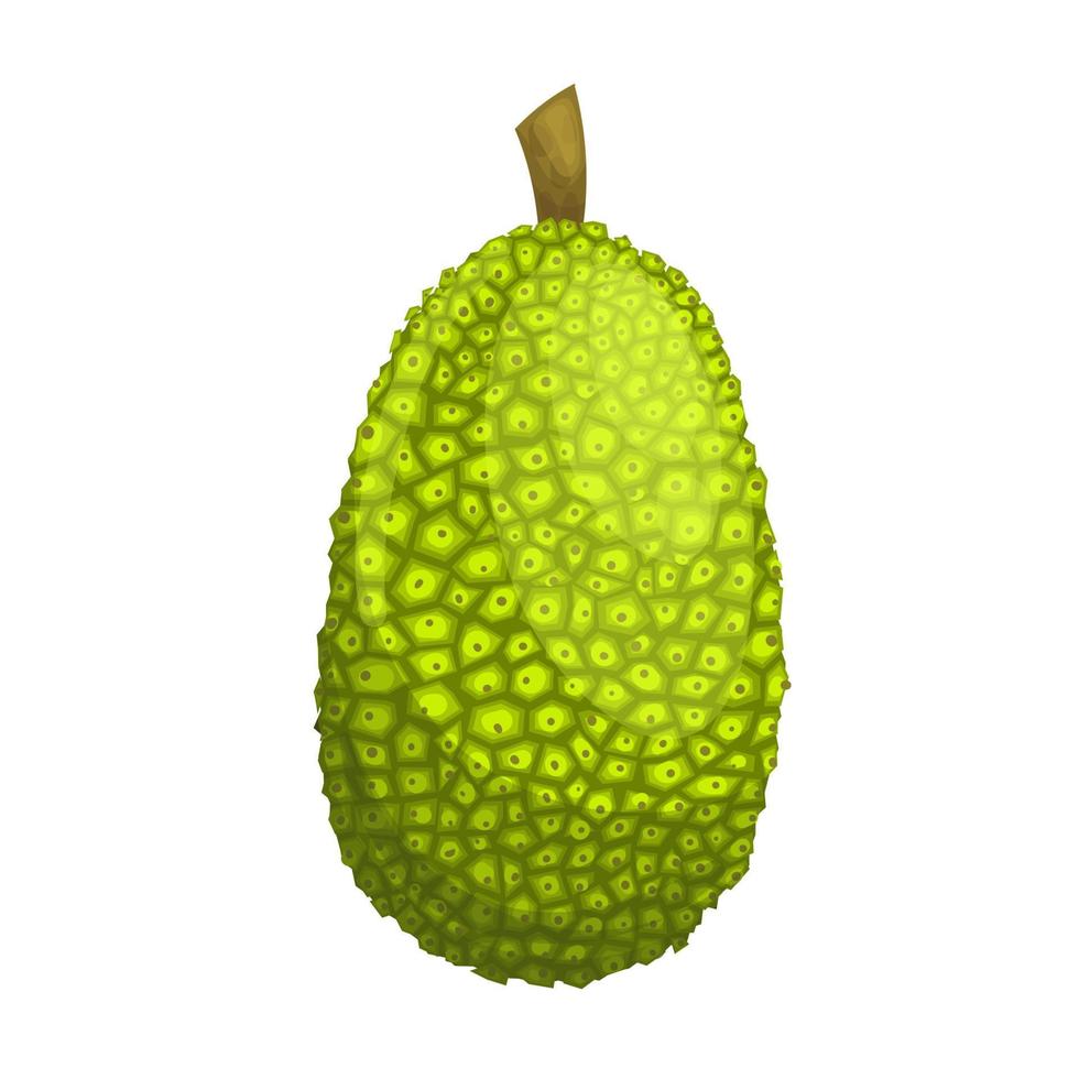 jackfruit food cartoon vector illustration