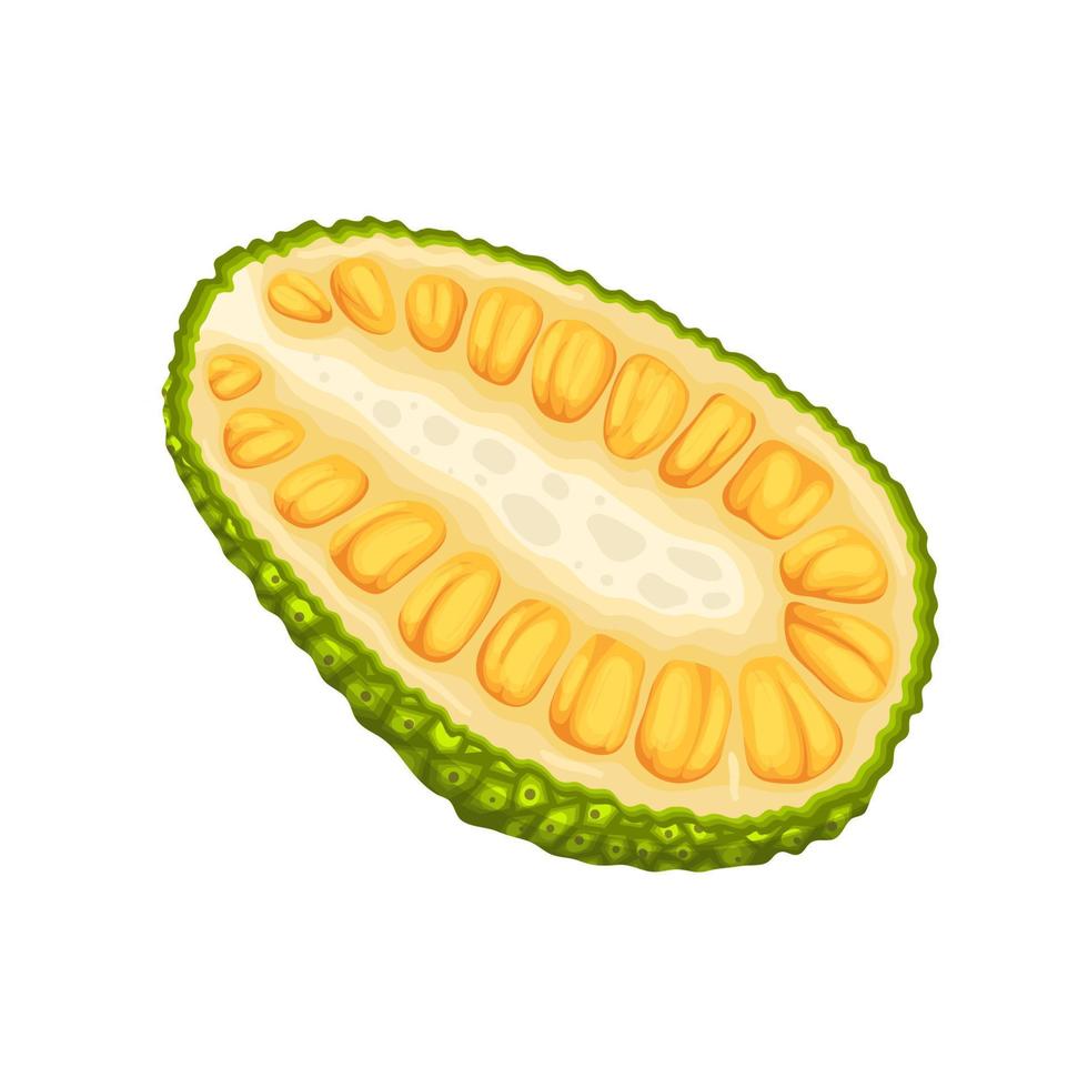 jackfruit slice cut cartoon vector illustration