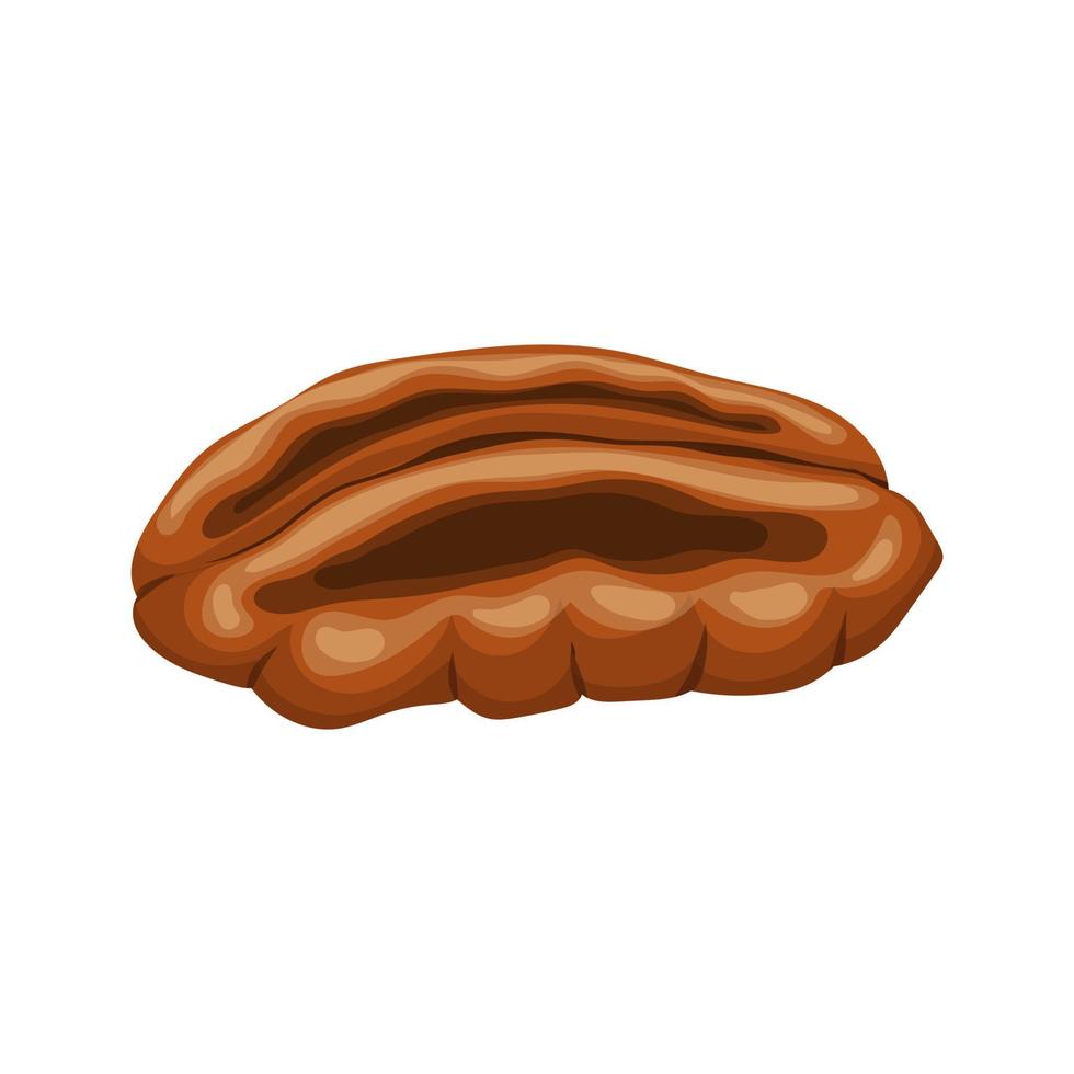 pecan nut food cartoon vector illustration
