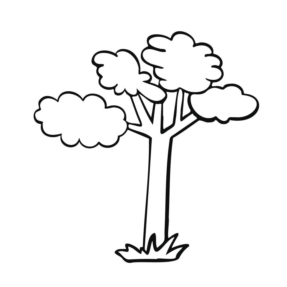 cartoon contour forest tree oak line vector