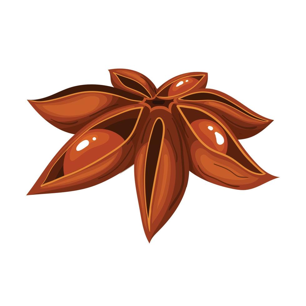 anise brown dry cartoon vector illustration