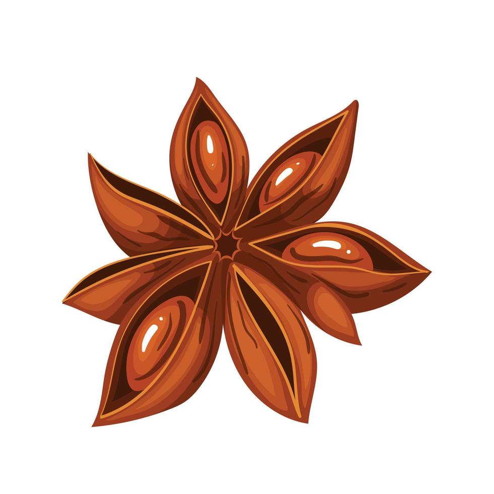 anise star cartoon vector illustration