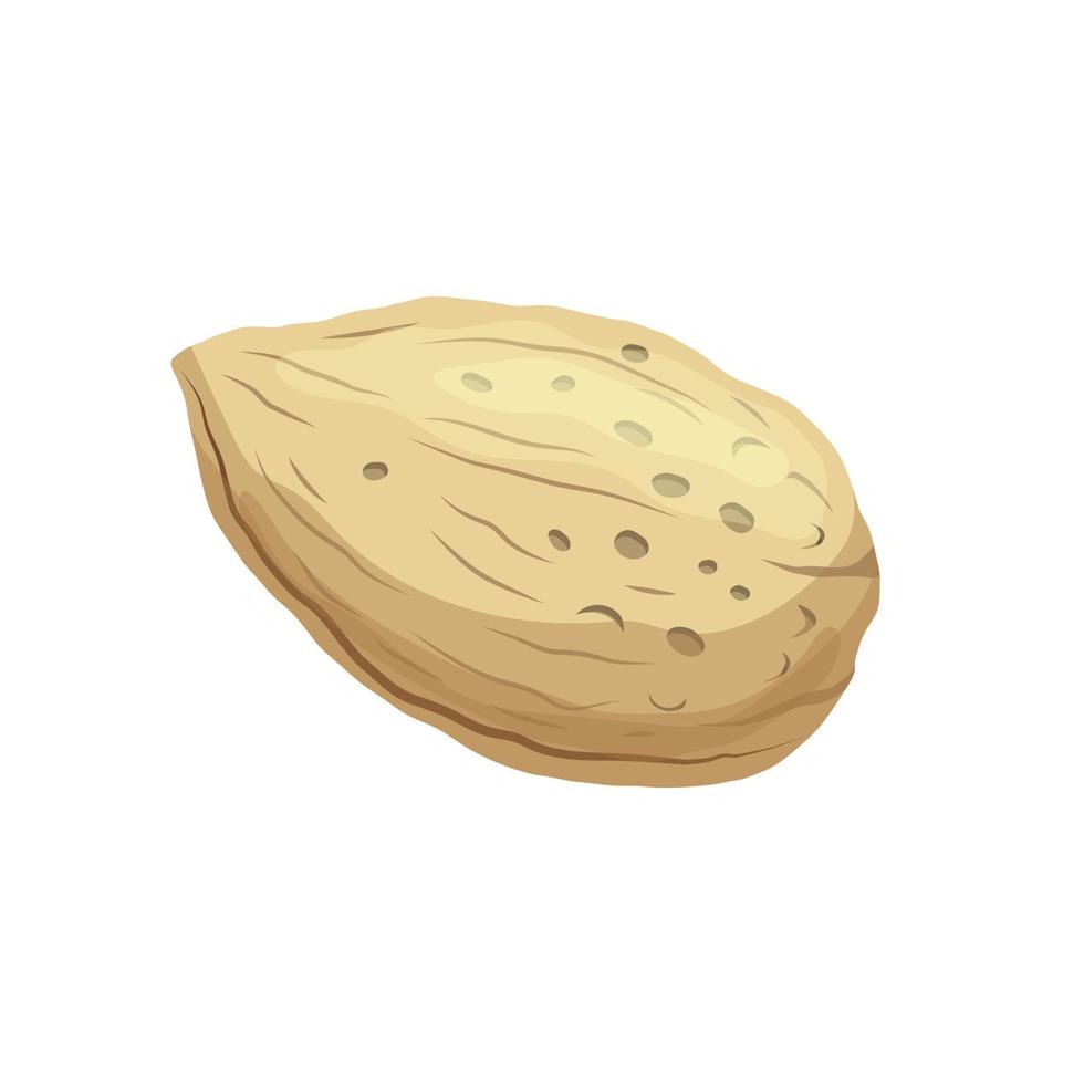 almond nut seed cartoon vector illustration