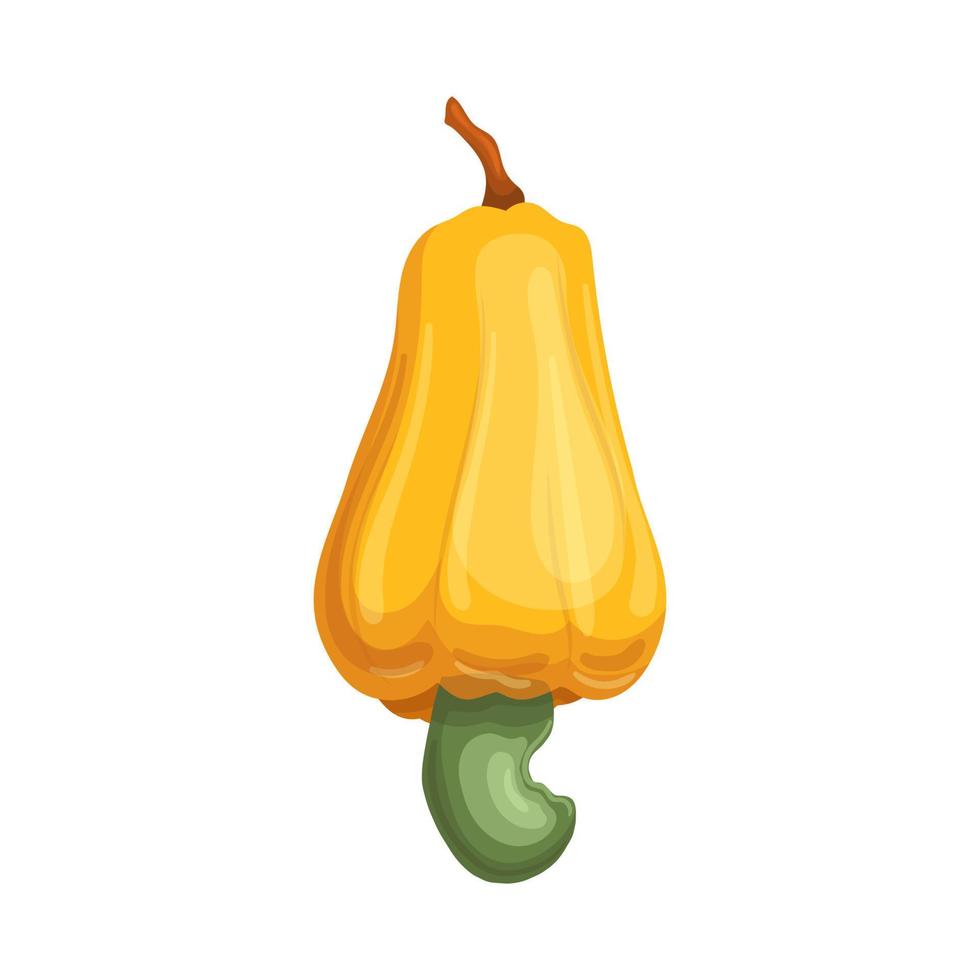cashew plant cartoon vector illustration