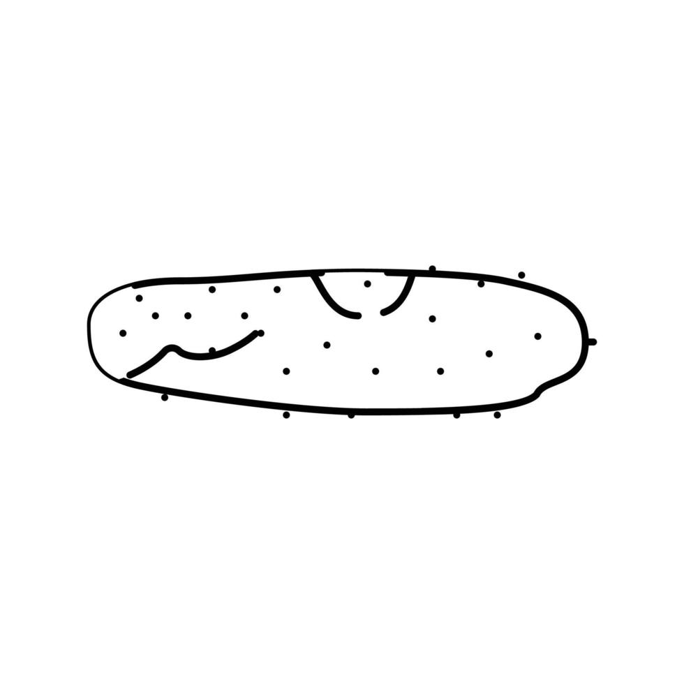 cucumber rotten food line icon vector illustration
