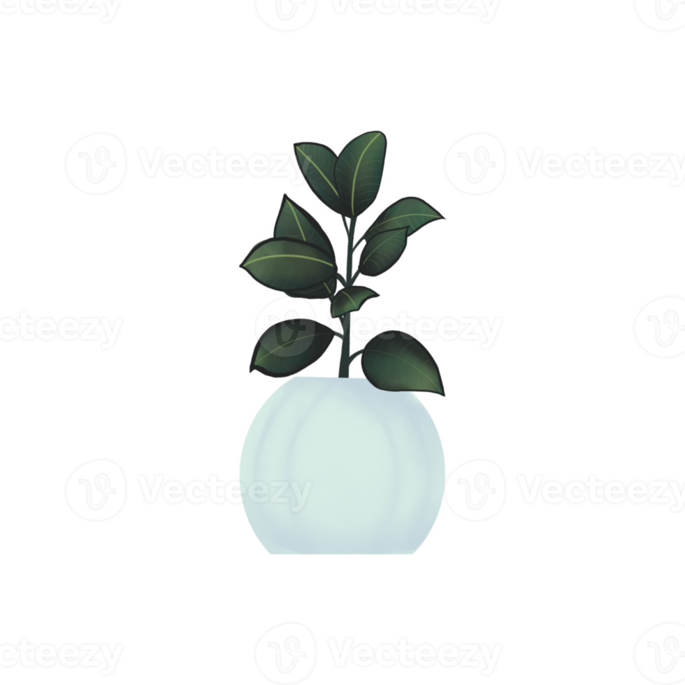 Plant in a white pot illustration png