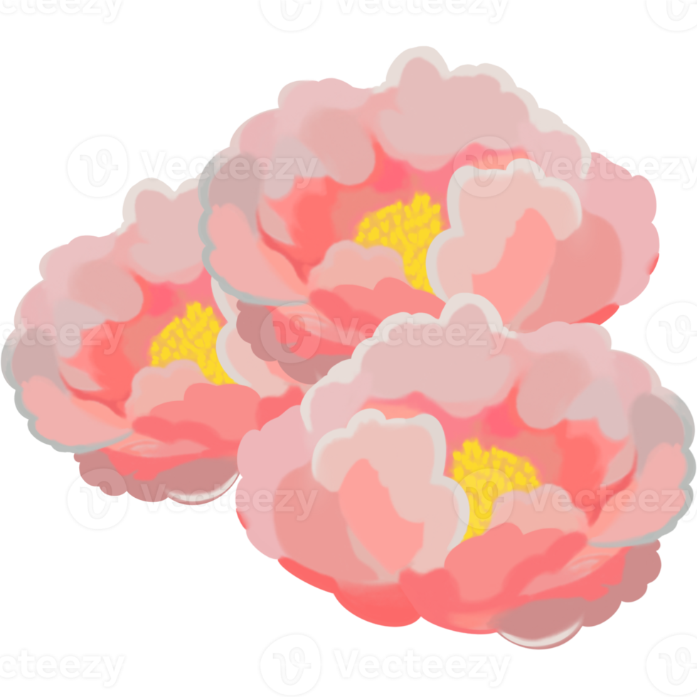 bloeiend bloem illustratie png