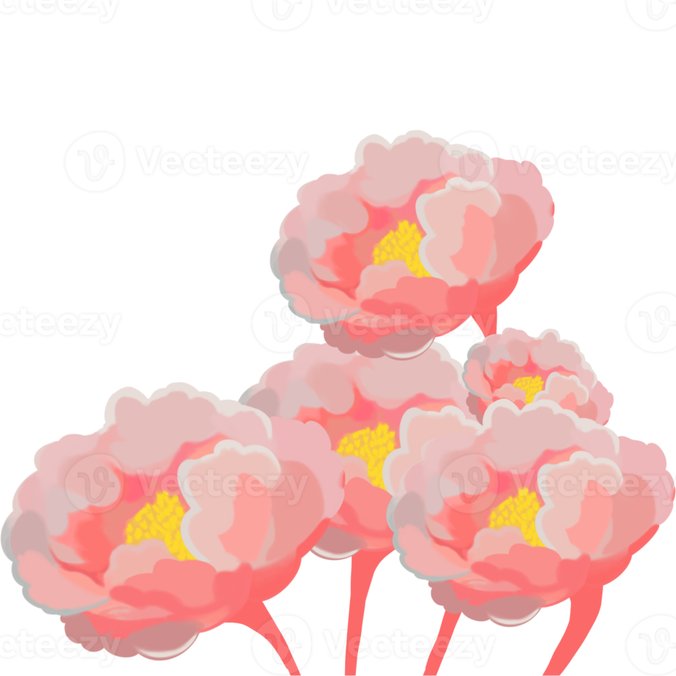 Blume Blütenblatt Illustration png