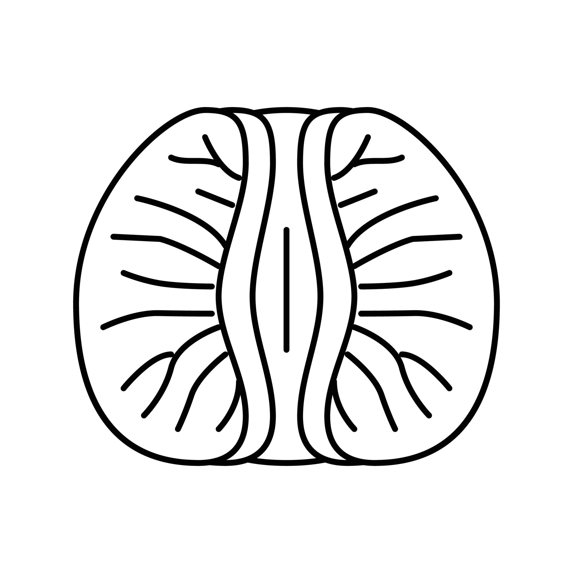 peeled tangerine slice line icon vector illustration 21163645 Vector