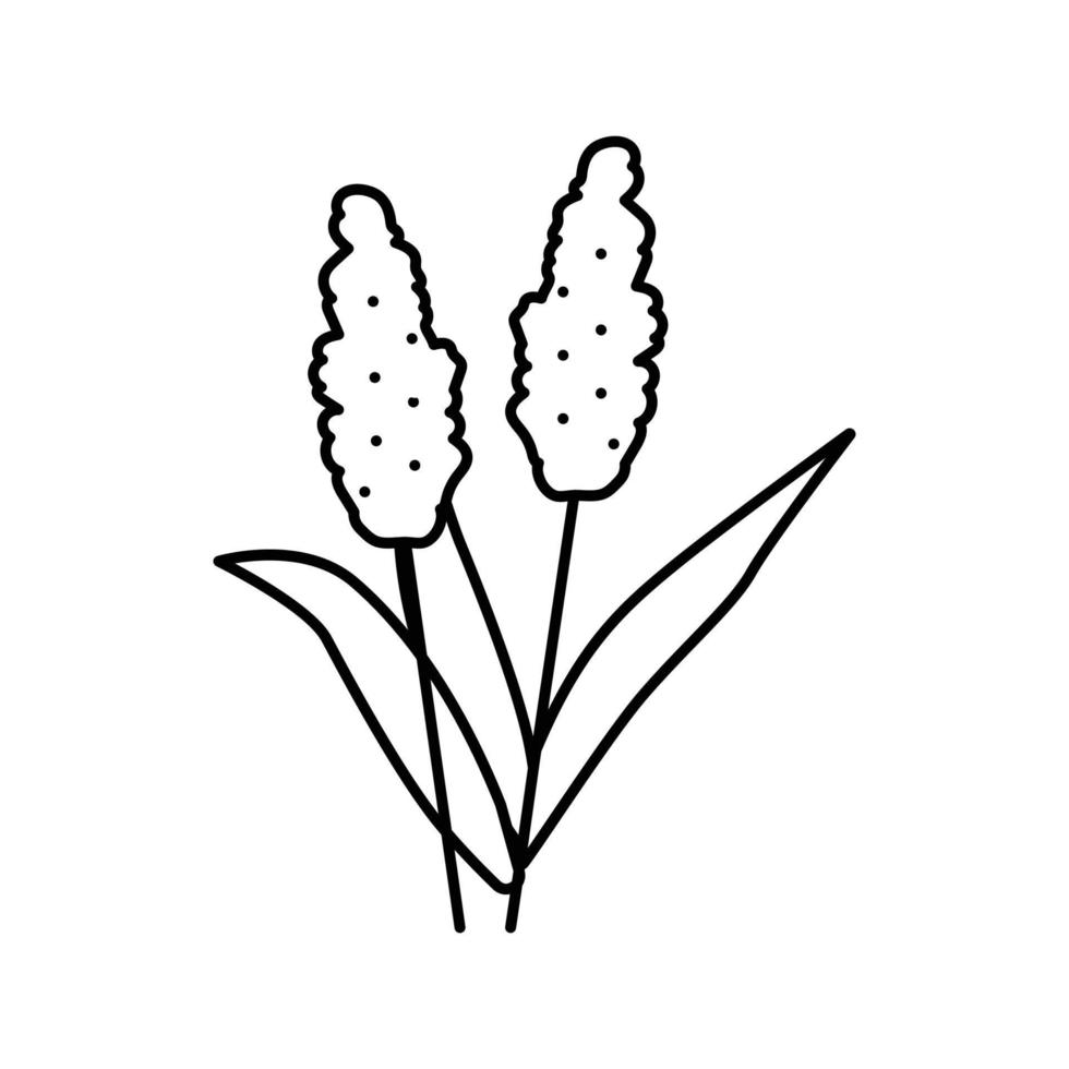 sorgo planta comida línea icono vector ilustración