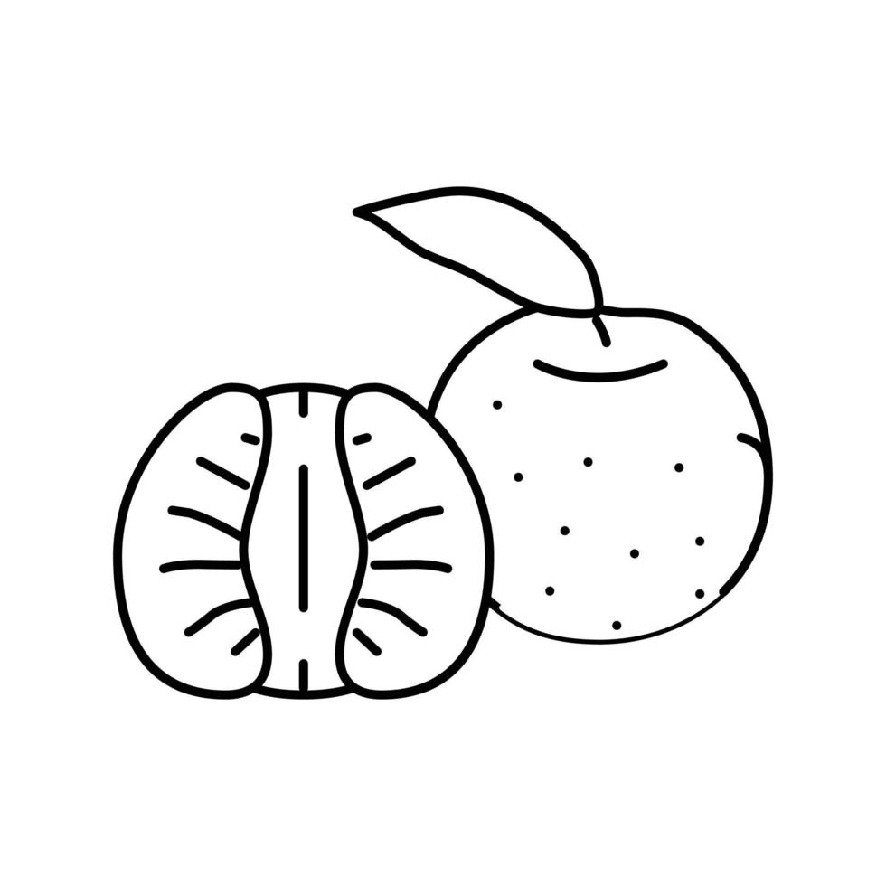 cortar Mandarina hoja línea icono vector ilustración