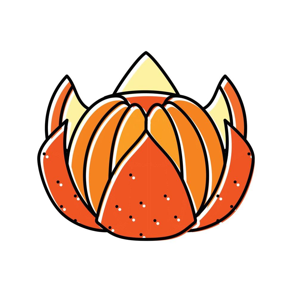 clementine mandarin color icon vector illustration