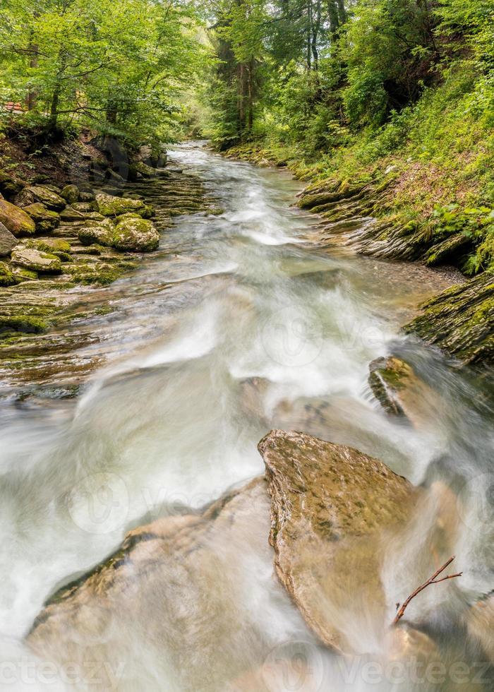 A stream surrounded by green trees and stones covered with moss photo