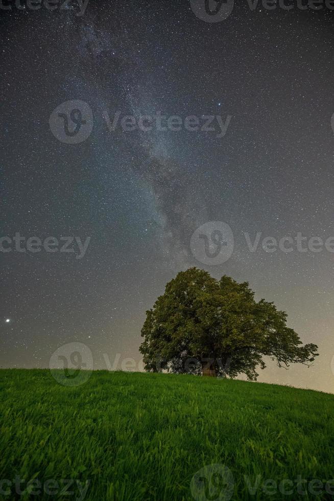 a hill with a tree in the sky you can see the milky way photo