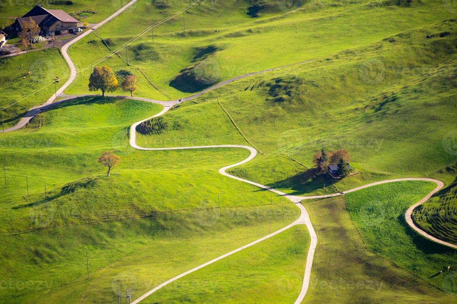 a farm on a green meadow landscape with roads and trees photo