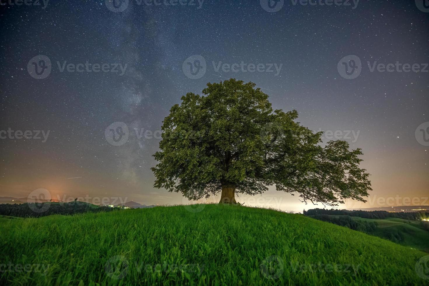 a hill with a tree in the sky you can see the milky way photo