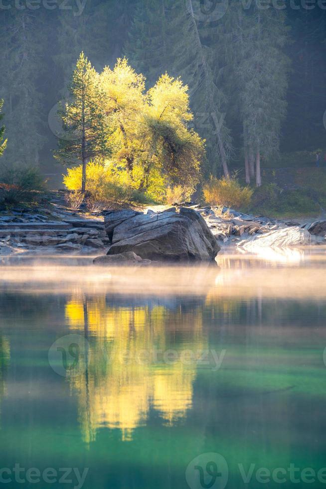 Yellow trees reflecting in a misty lake photo