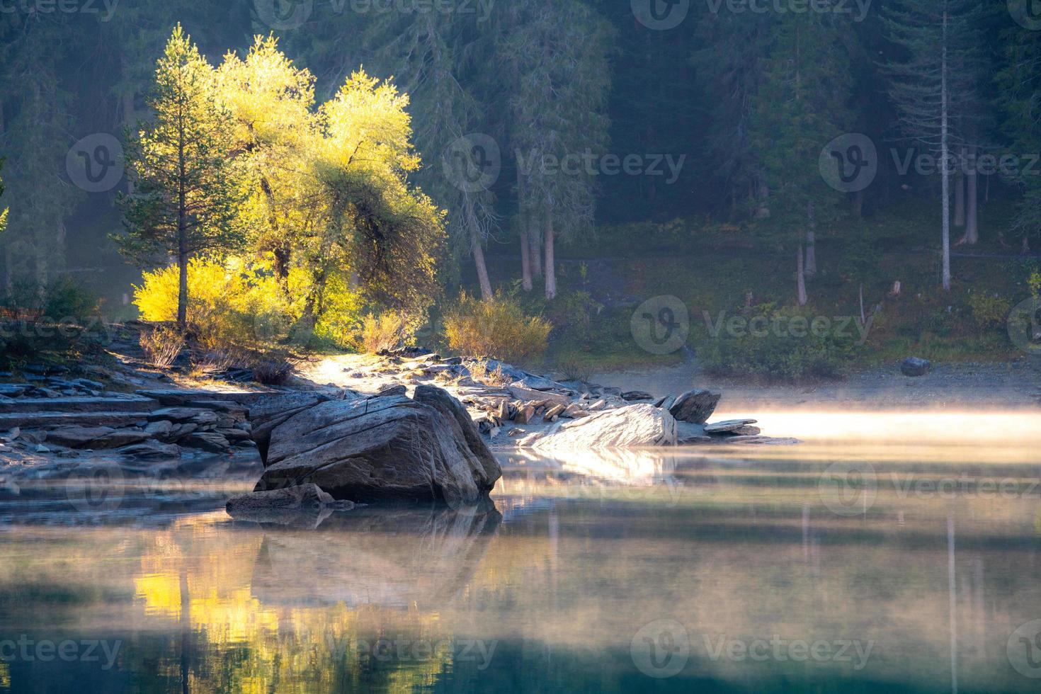 Yellow trees reflecting in a misty lake photo