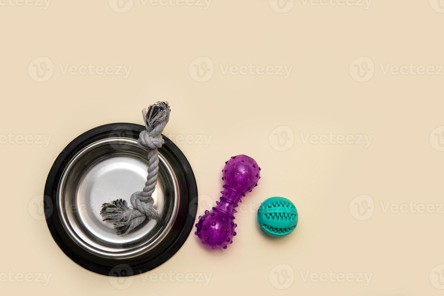 domestic dog accessories on a beige background with copy space, bowl, ball, toys photo