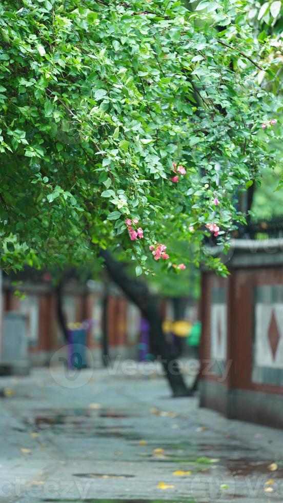 The rainy day view in the city with the wet road and rainy droplets down photo