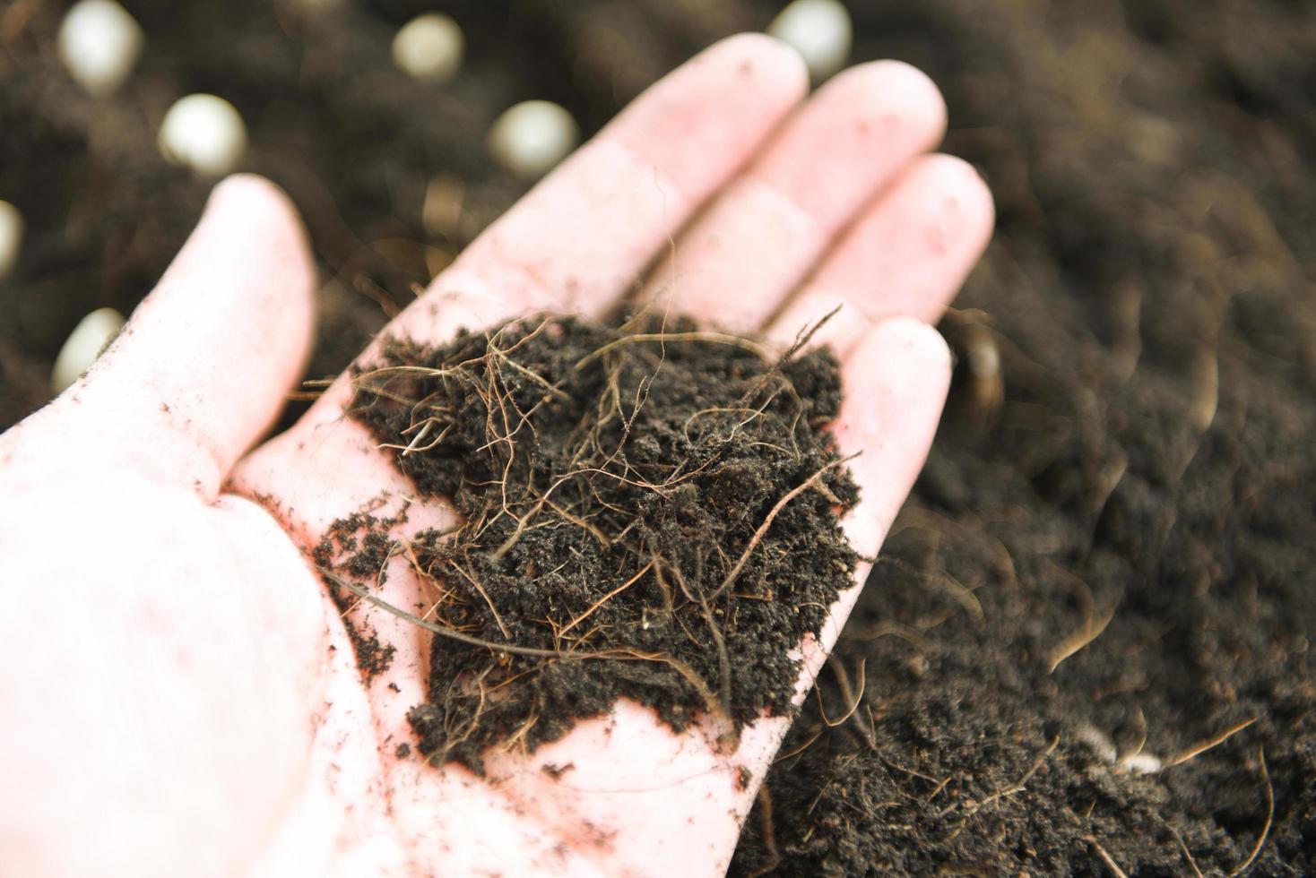 suelo en mano granjero para plantando plantas en agricultura agricultura foto