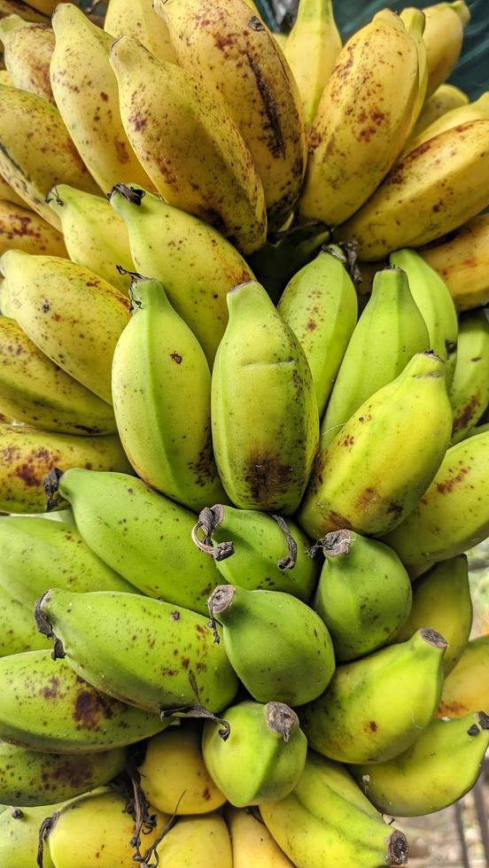 Yellow and green fresh bananas photo