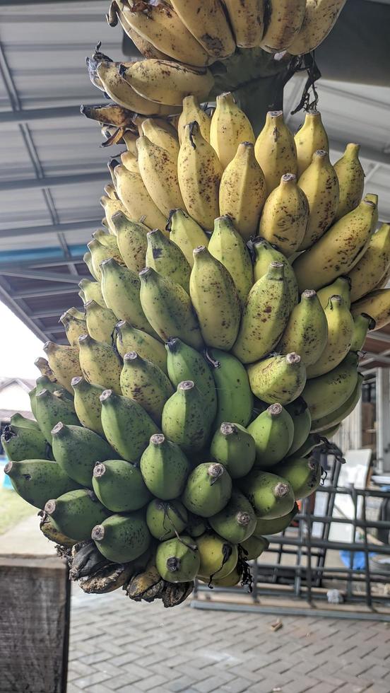 Yellow and green fresh bananas photo