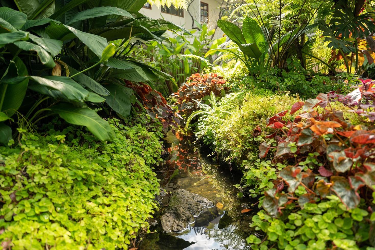 Yellow flowers and green plants near a stream. Spring. photo