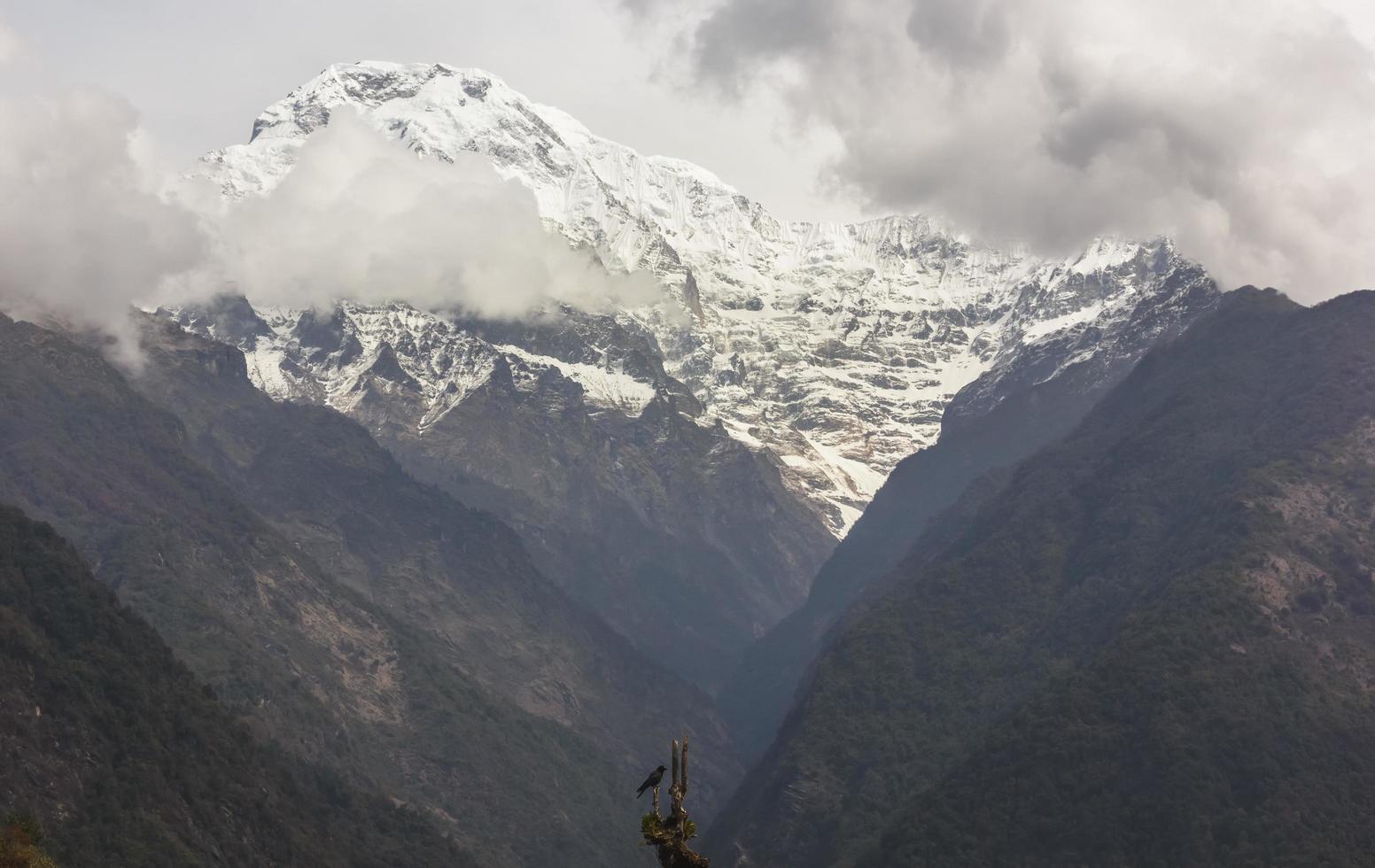 un ver de el sur Annapurna pico desde el pueblo de chomong en el Annapurna base acampar sendero en el Nepal himalaya foto