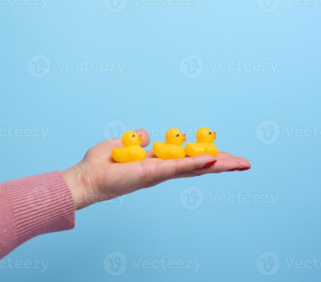 A woman's hand holds a yellow rubber duck on a blue background, a bath toy photo