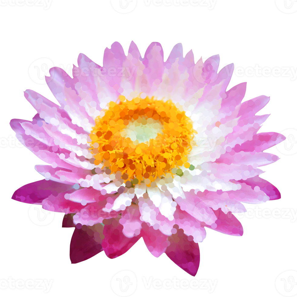 blomma element för konstverk png