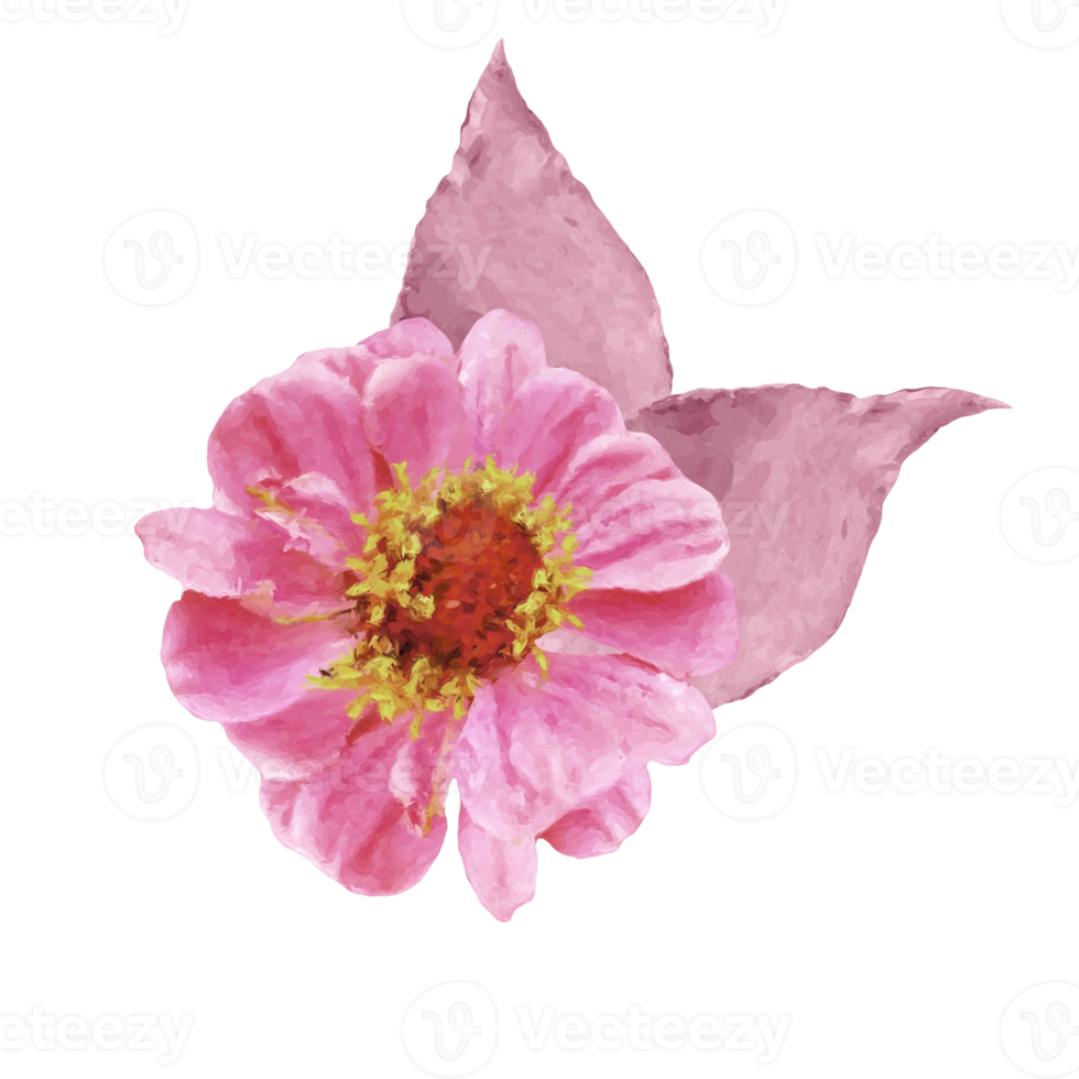 flower element for artwork png