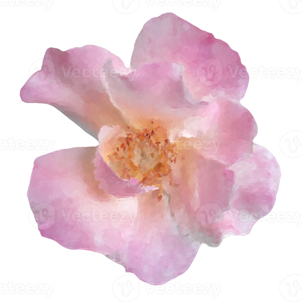 wijnoogst bloemen ontwerp element png