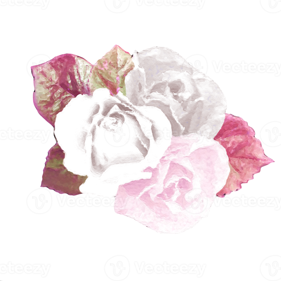 Vintage roses flower element png