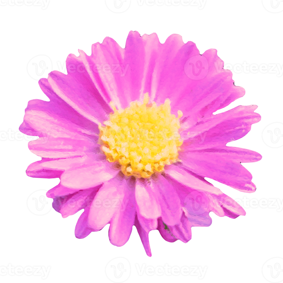 flower element for artwork png