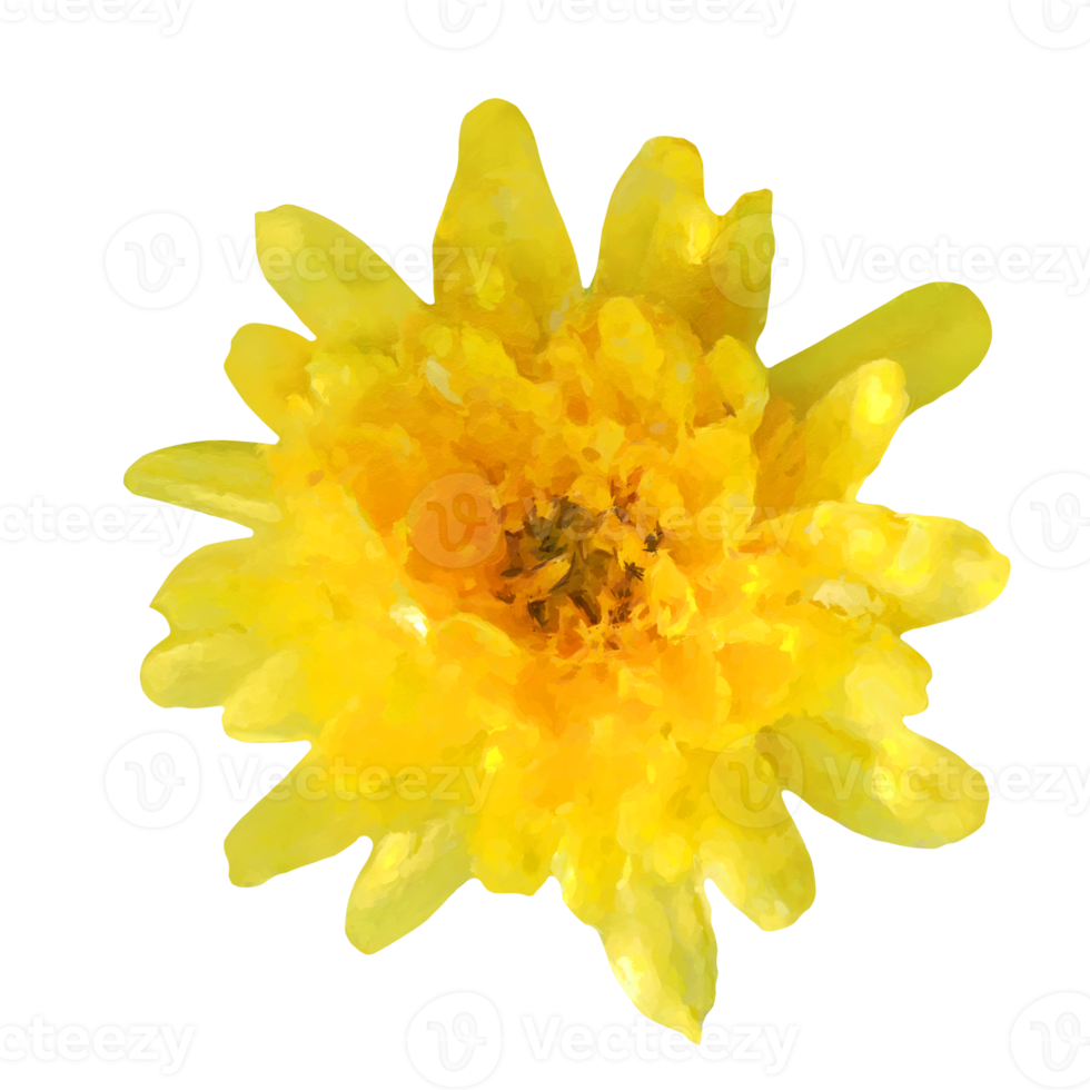 blomma element för konstverk png