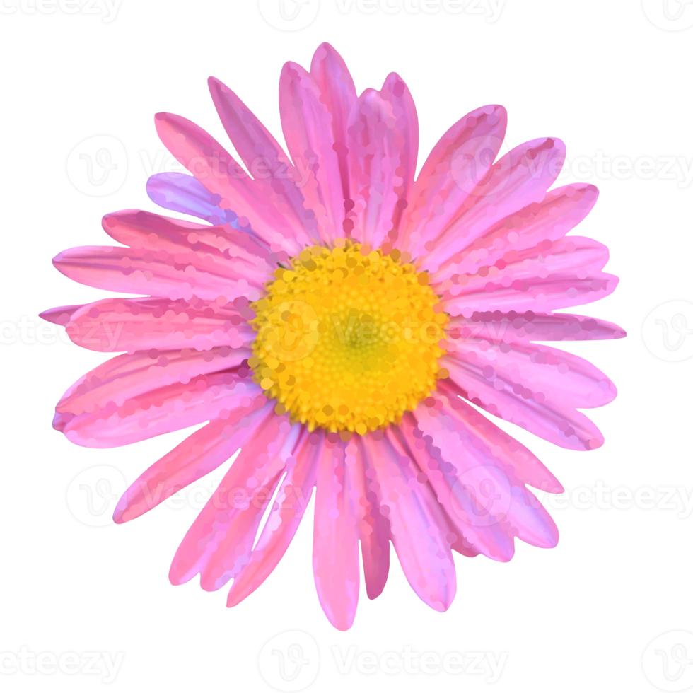 flower element for artwork png