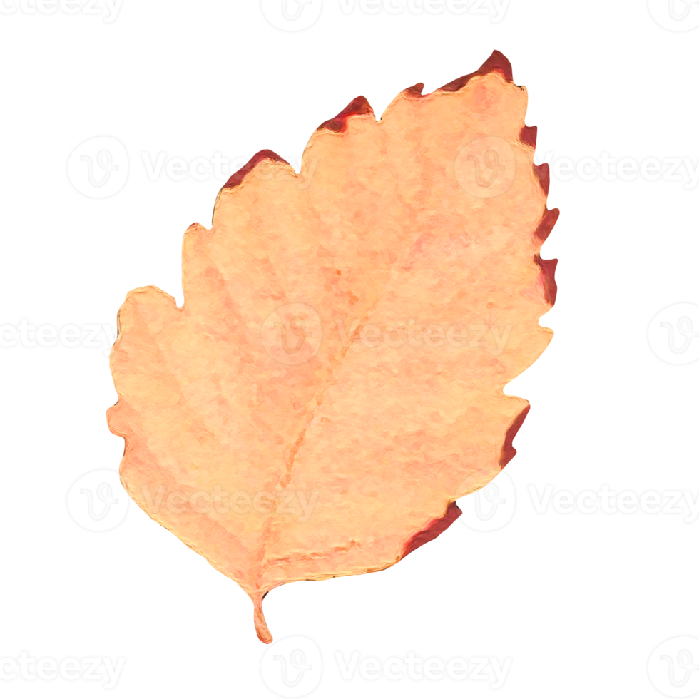 autunm feuille transparent png