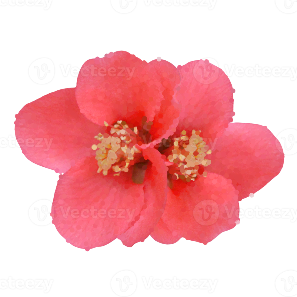 flower element for artwork png