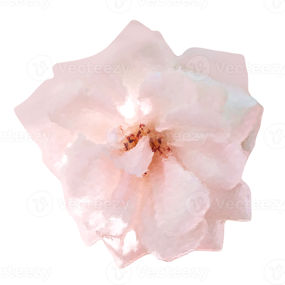 bloem element voor artwork png