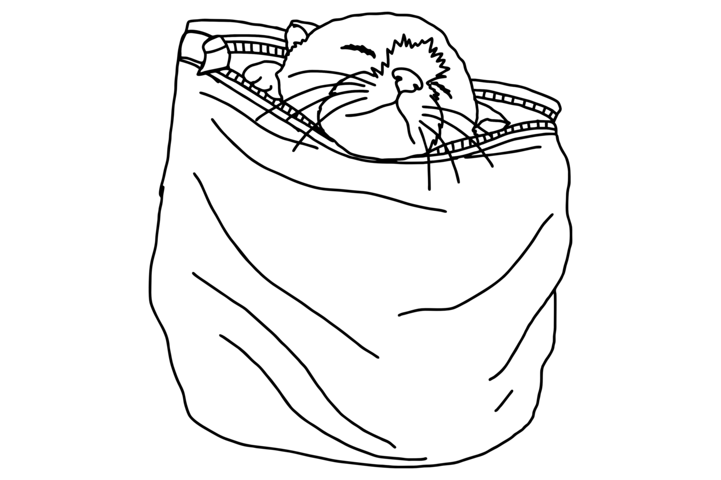 Adorable kitten sleeping in the Pouch png