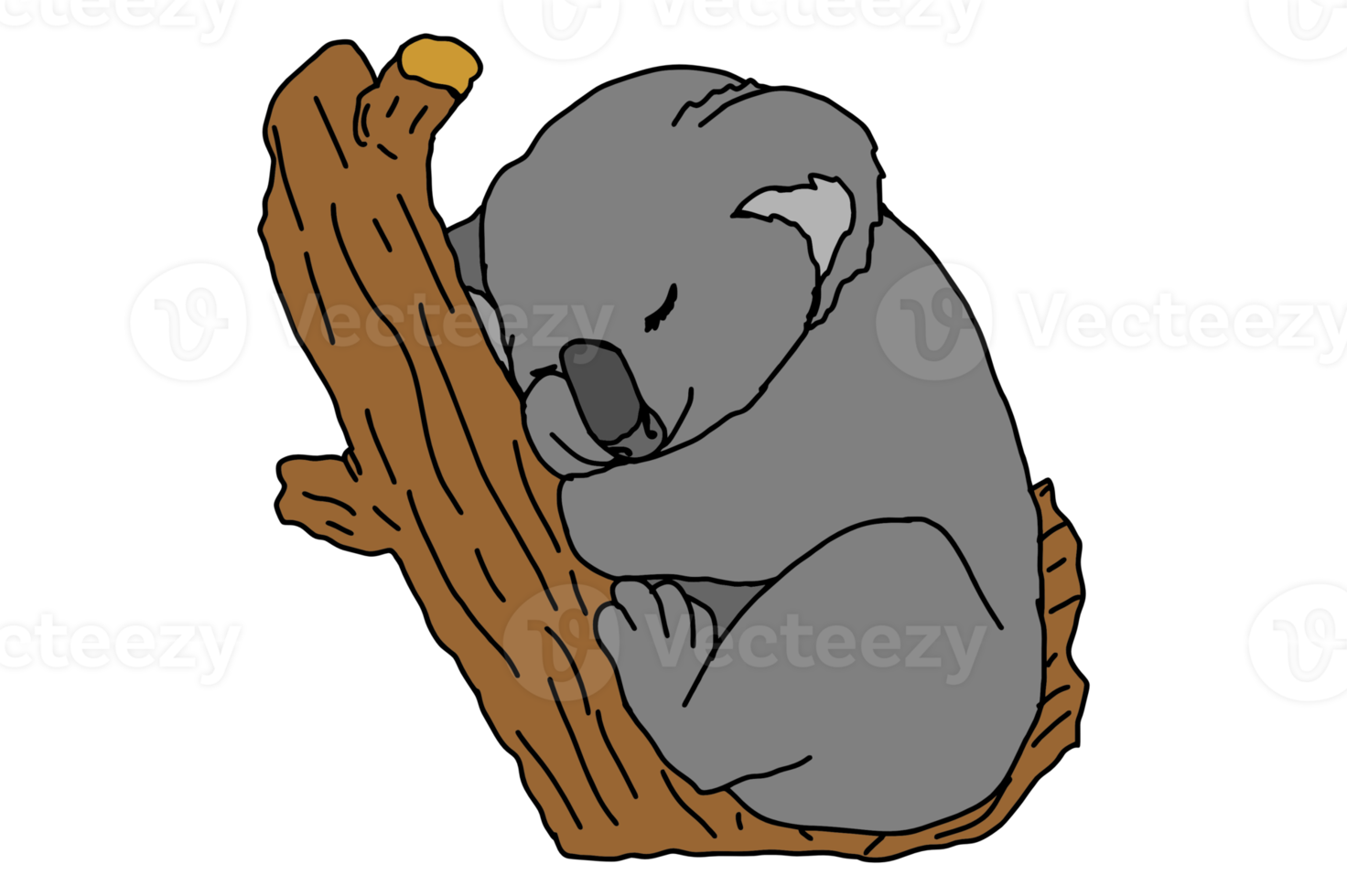 Cute Koala Sleeping On A Tree png