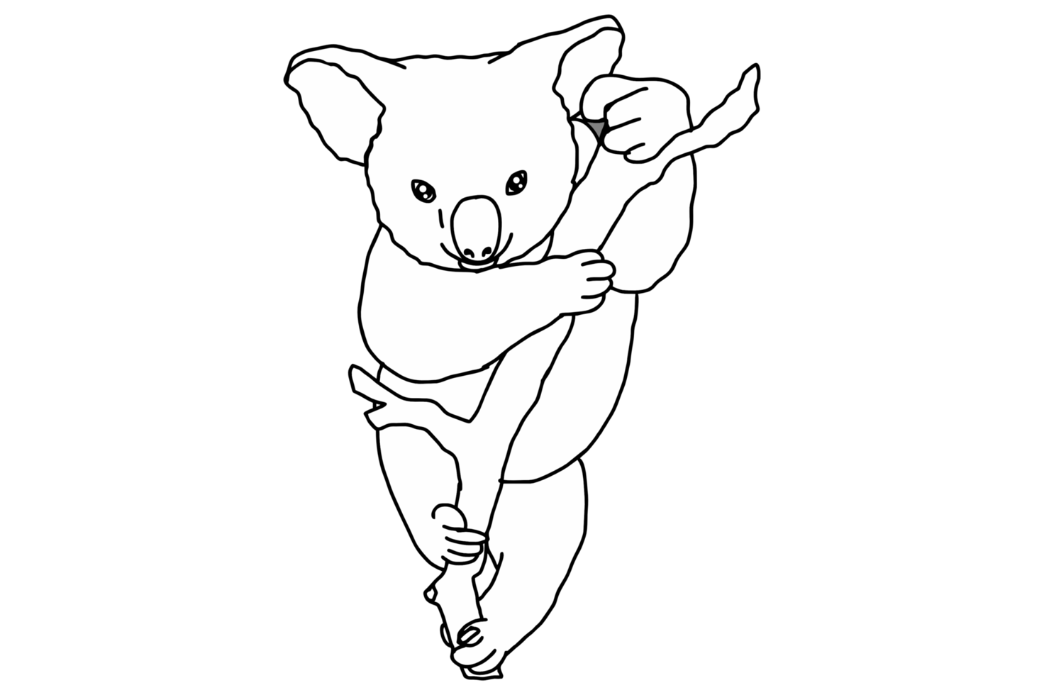 süß Koala auf das Baum png