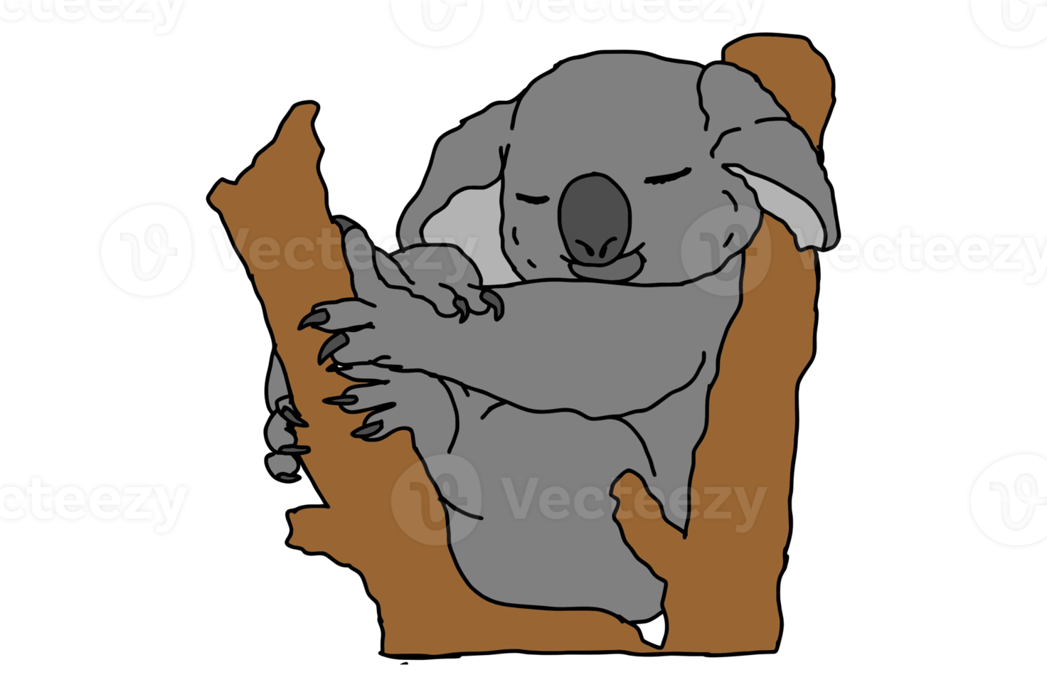 Cute Koala Sleeping On A Tree png