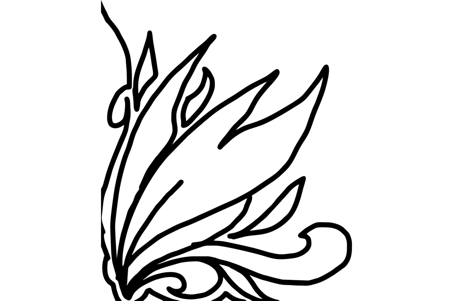 Flora Ornament Border png