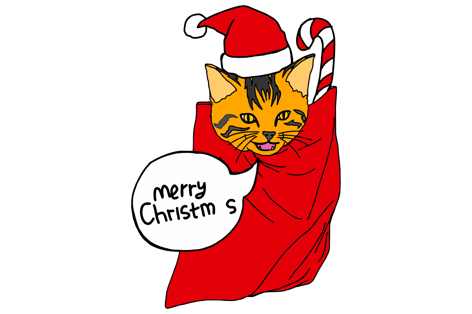 Adorable Kitten Sleeping In A Bag Filled With Christmas Presents That adorable-kitten-sleeping-in-a-bag-filled-with-christmas-presents-that