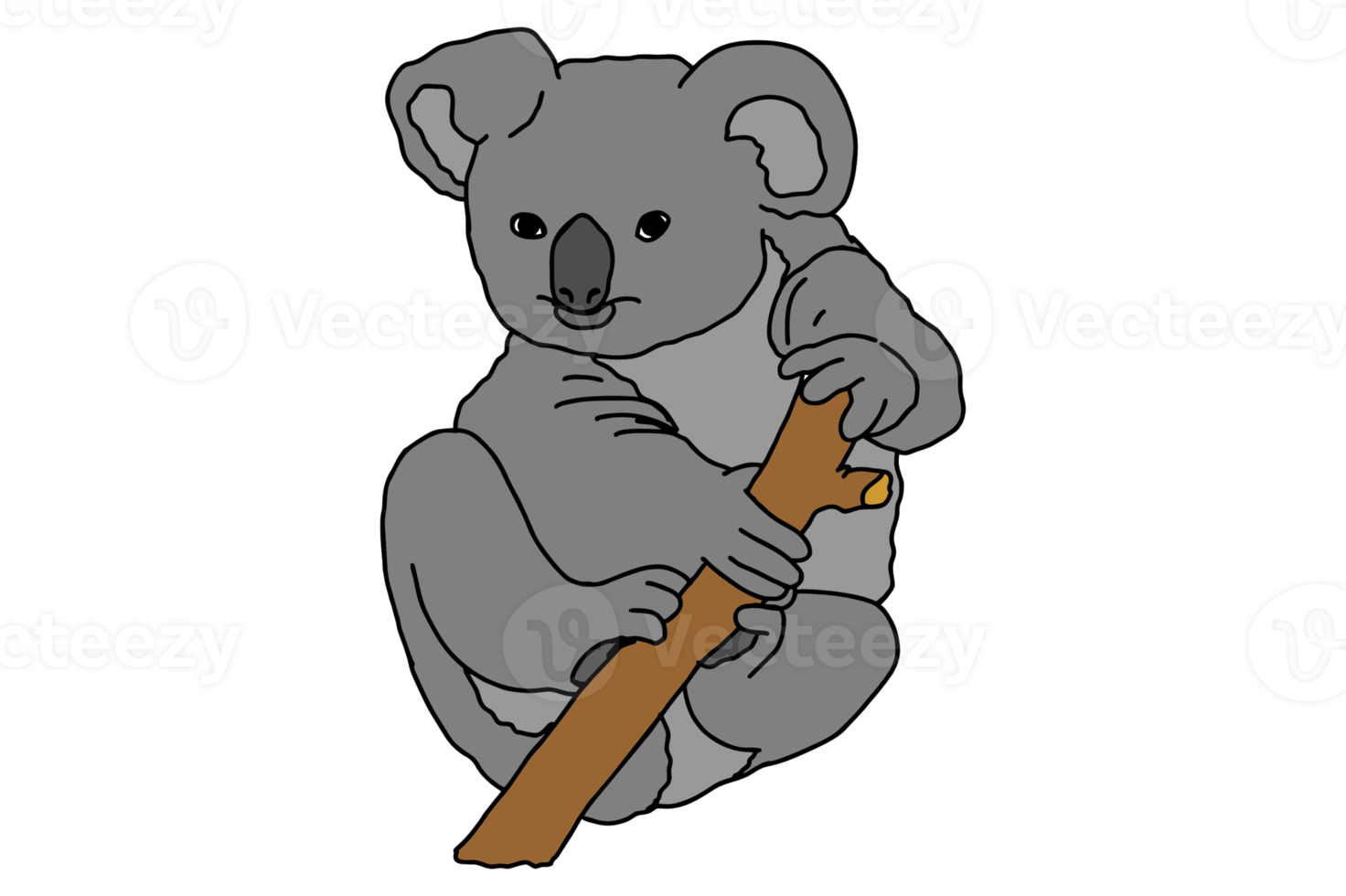 Cute Koala On The Tree png